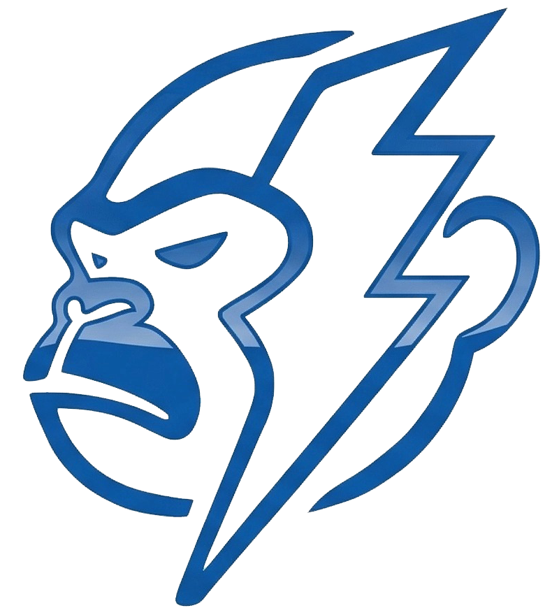 闪电猿科技 Logo